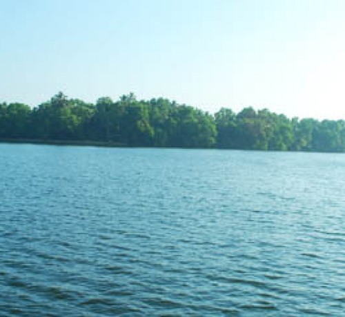 Backwaters Backwaters