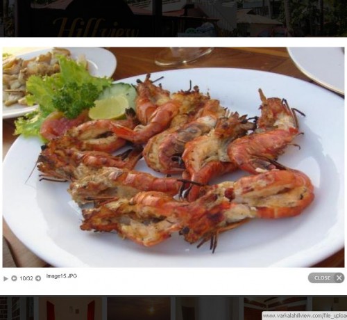 Sea food Sea food