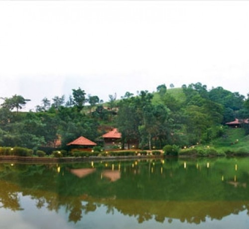 Natural Pool