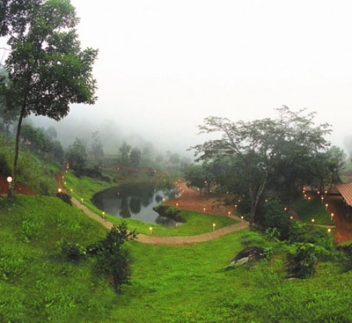 Natural Stream
