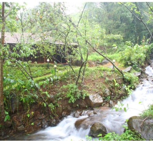 Restaurant amidst Nature