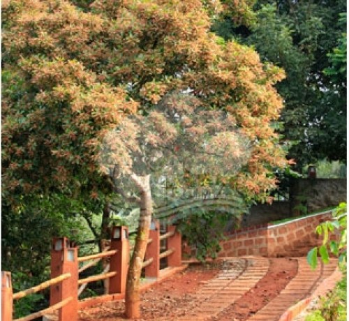 The path to the villas
