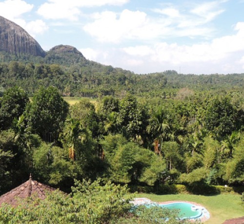 The Sunbird Rock