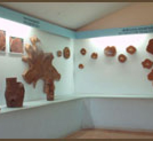 Interior of Teak Museum