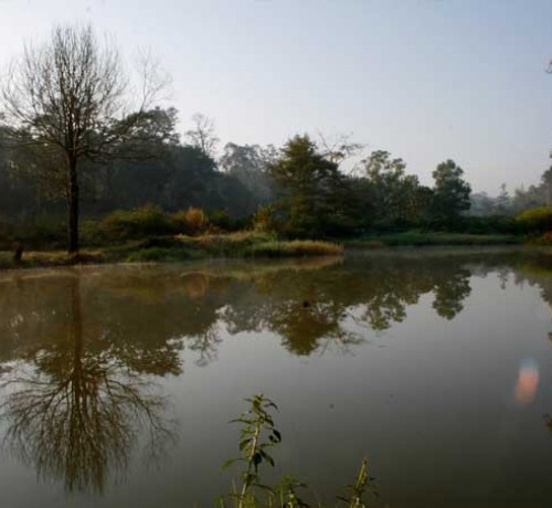 Lake surrounding the resort