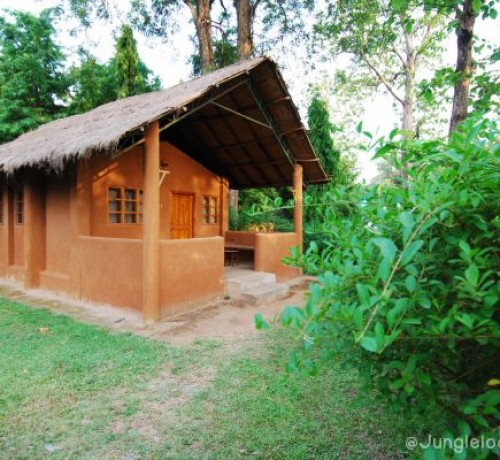 Cottage Cottage