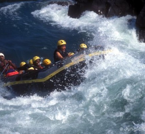 Rafting1 Rafting1