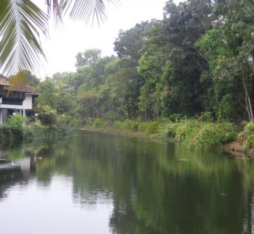 The Lake view from the Hotel