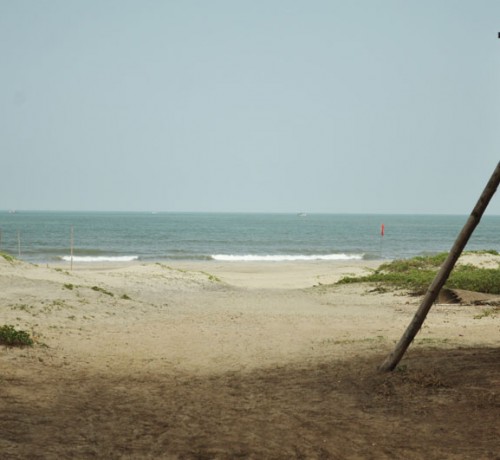 Sea View from the Cottage