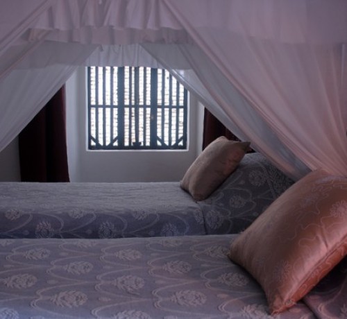 Bahia beds Bahia beds