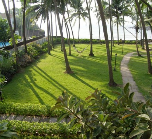 Lawn Lawn