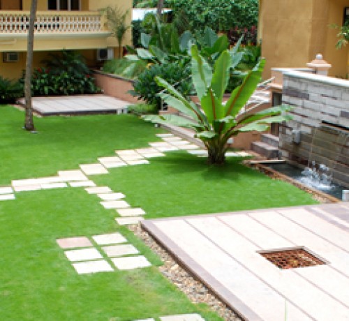 Lawn