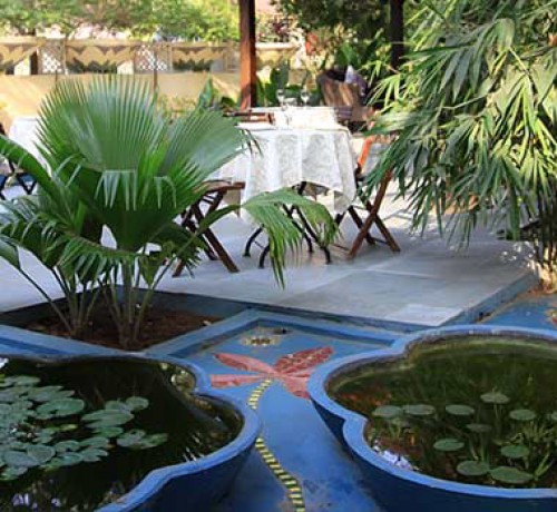 Garden Garden