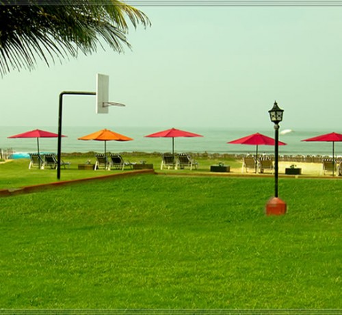 Lawn Lawn