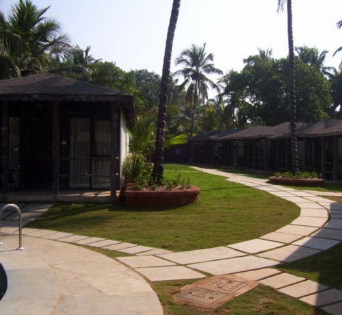 Lawn Lawn