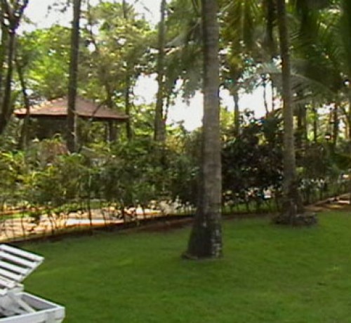 Manicured Lawn