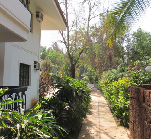 Garden view