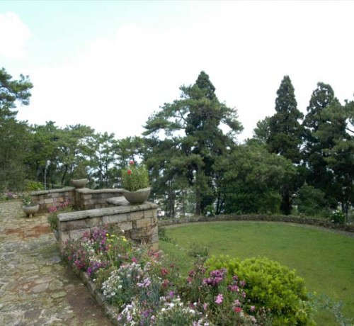Garden Area Garden Area