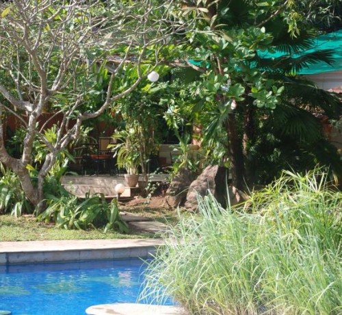 Tamarind Tree Poolside