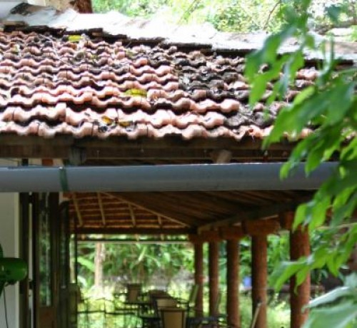 Restaurant Verandah View