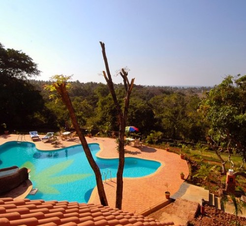 Aerial view from Deluxe Cottage