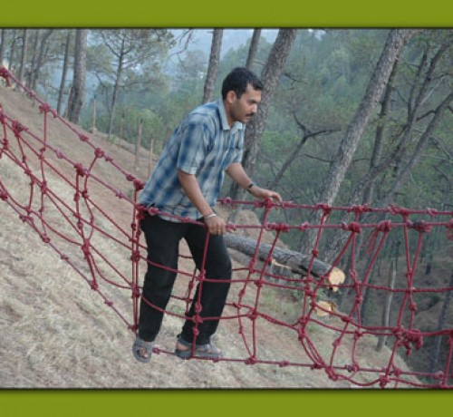 Activity Activity