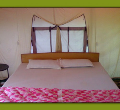 Bed Bed