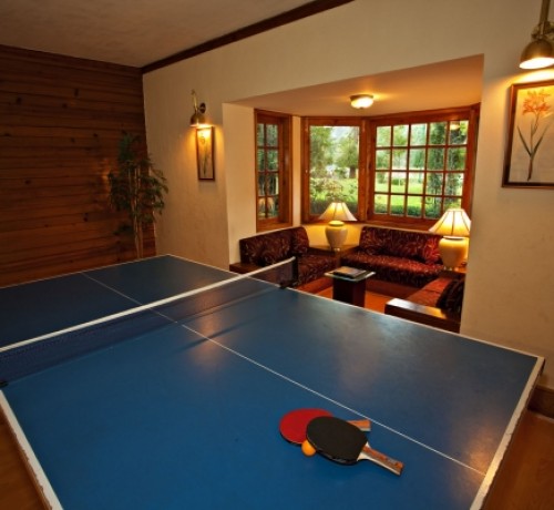Table Tennis