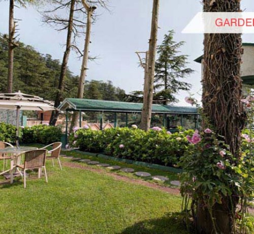 Garden Area