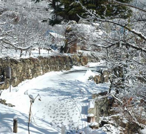 Road filled with snow