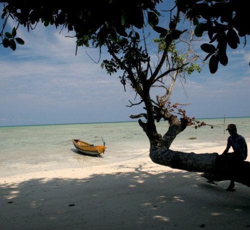 Serene View