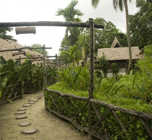 Garden Area
