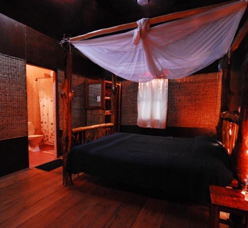 Comfortable Room