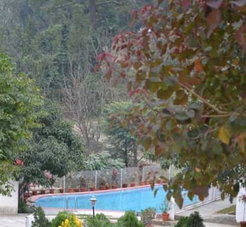 Lawn Lawn