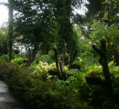 Path to orchard