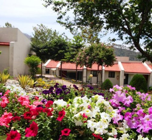 Sprawling Gardens