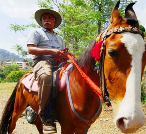 Horse Riding
