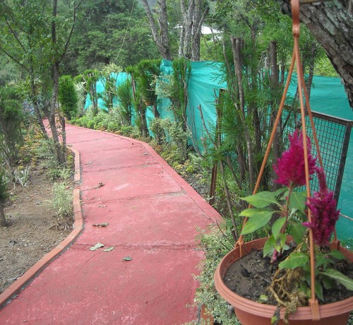 Walking Track