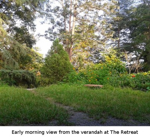 Early Morning View Early Morning View