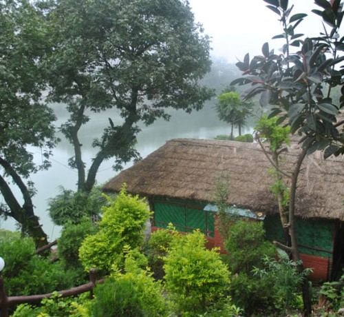 Serene View