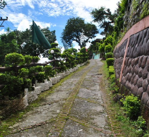 Garden Area