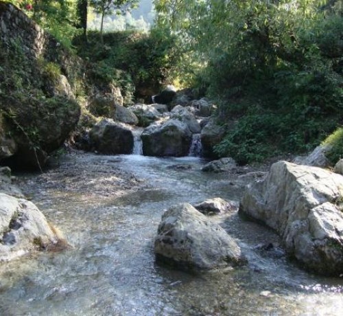 Falls near the resort