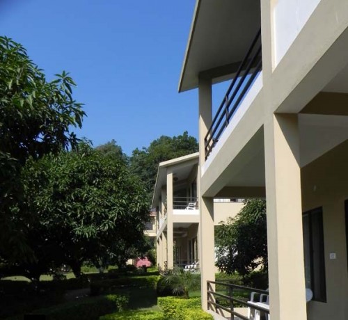 Garden Area