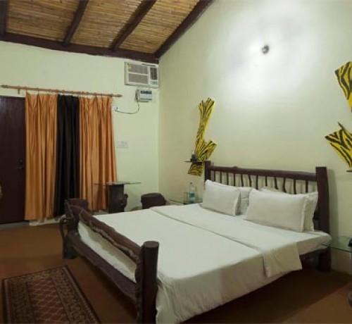Comfortable Room