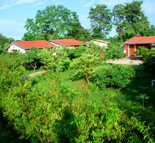 Garden Area