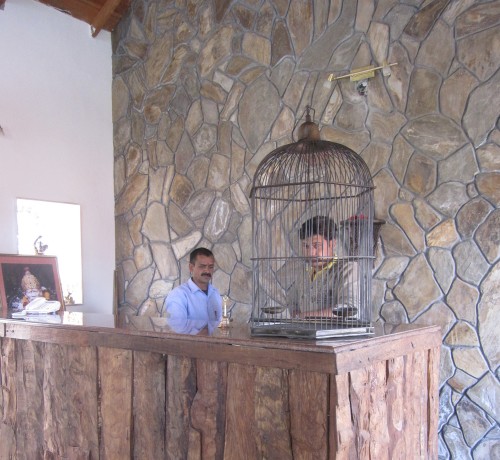 Reception Reception