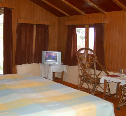 Wooden Interior Wooden Interior