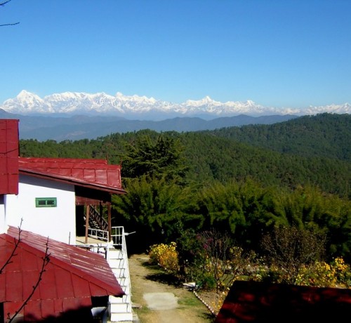 Nature View Nature View