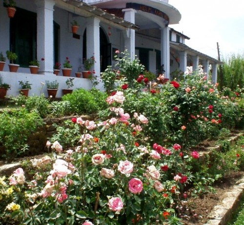Garden Garden