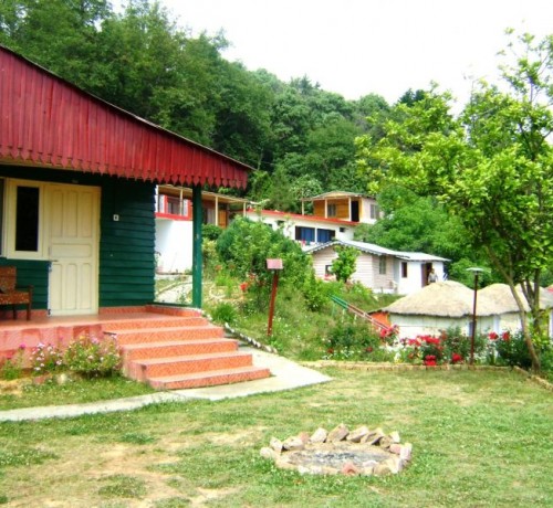 Garden Garden